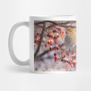 Pine Grosbeak Mug